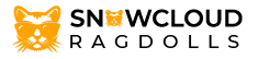 snowcloudragdolls